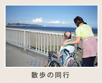 散歩の同行