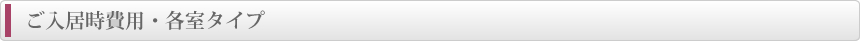 ご入居時費用・角質タイプ