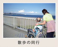 散歩の同行