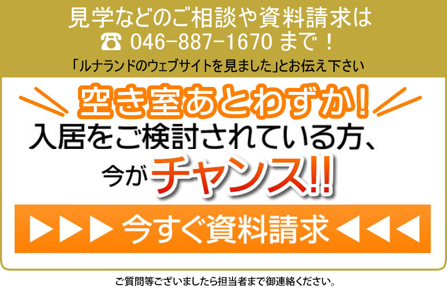 期間限定特典付き資料請求